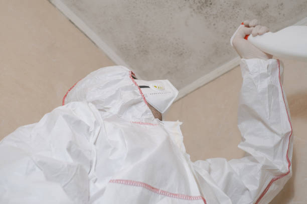 Best Residential Mold Removal  in Kensington, MD